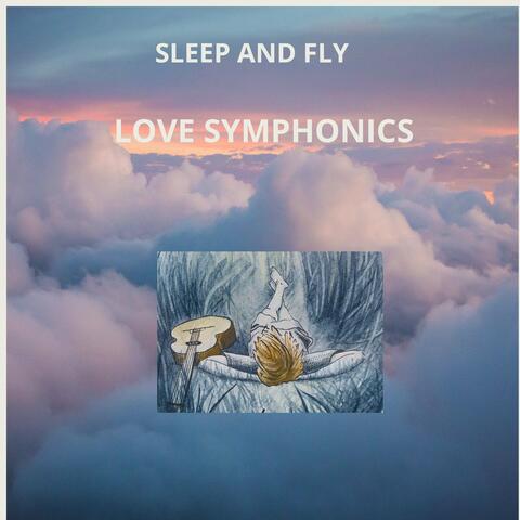 Sleep and Fly