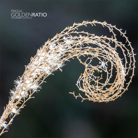 Golden Ratio