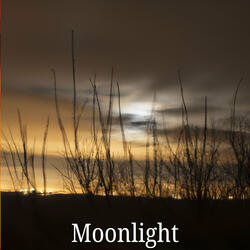 Moonlight