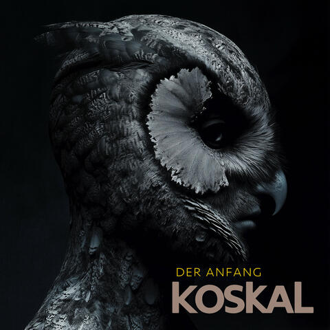 Der Anfang