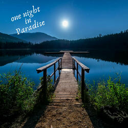 One Night in Paradise