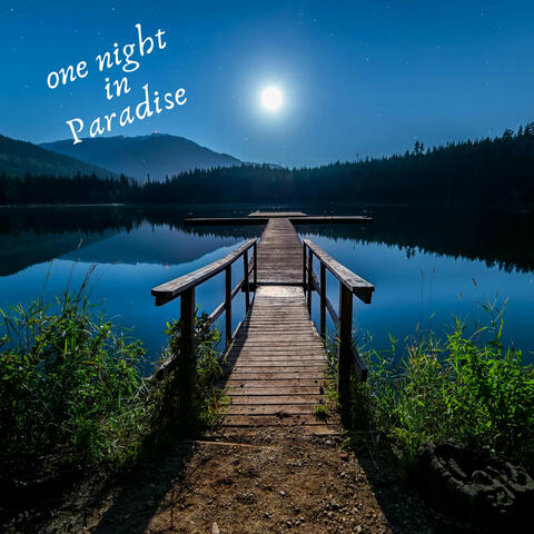 One Night in Paradise