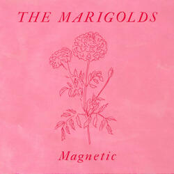 Magnetic