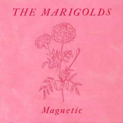 Magnetic