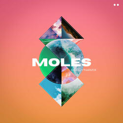 Moles