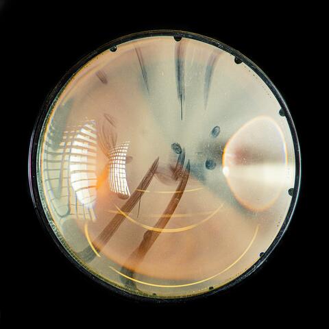 The Song Without a Name (Stripped)