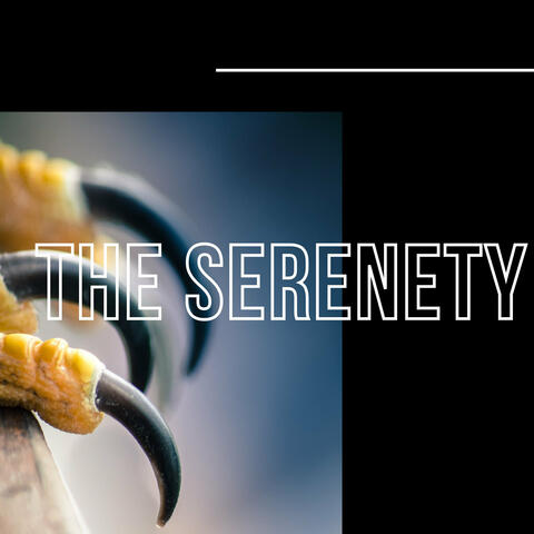 The Serenety