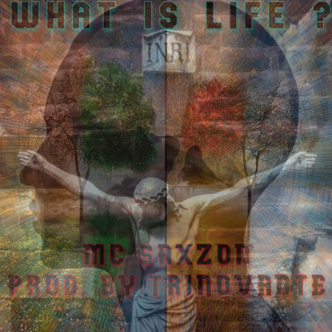 What Is Life ? (Trinovante Remix)