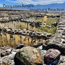 Imaginary Reaction