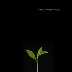 New Beginnings