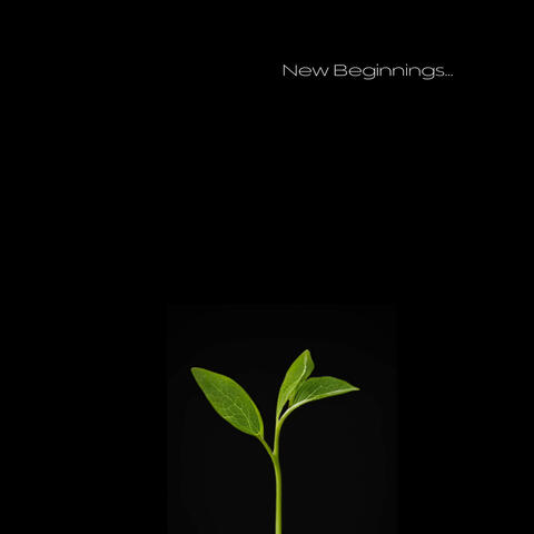 New Beginnings