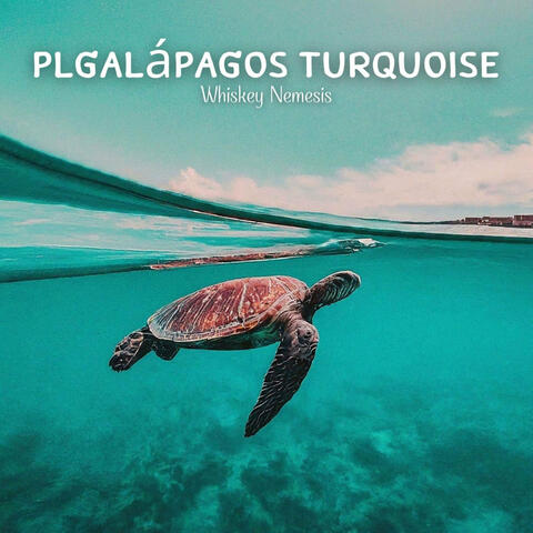Galápagos Turquoise