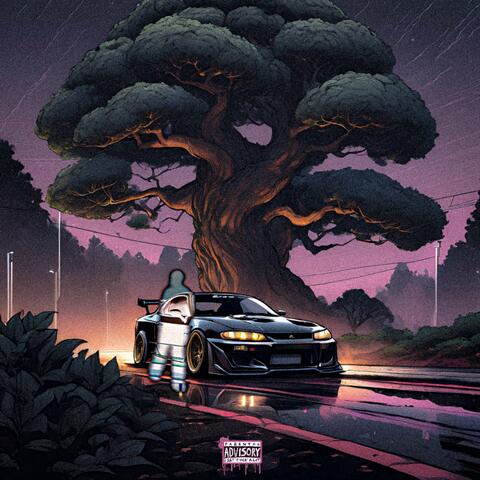 Bonsai