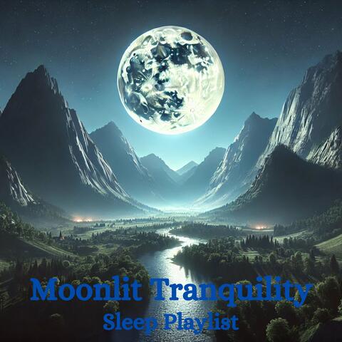 Moonlit Tranquility