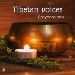 Tibetan voices