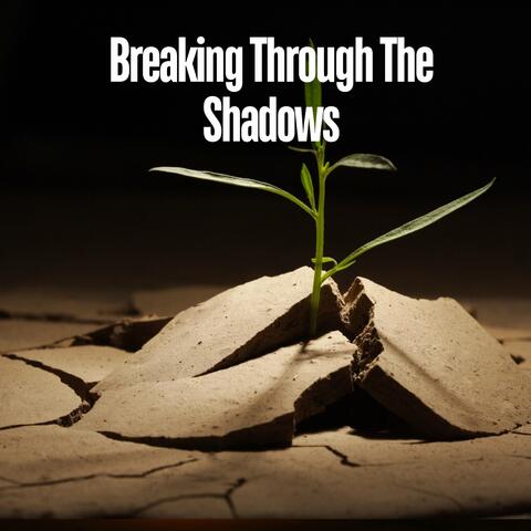 Breaking Through the Shadows