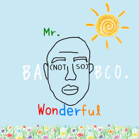 Mr. (Not So) Wonderful