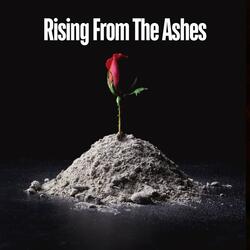 Rising from the Ashes
