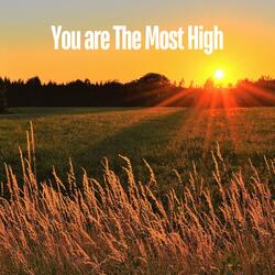 You Are the Most High