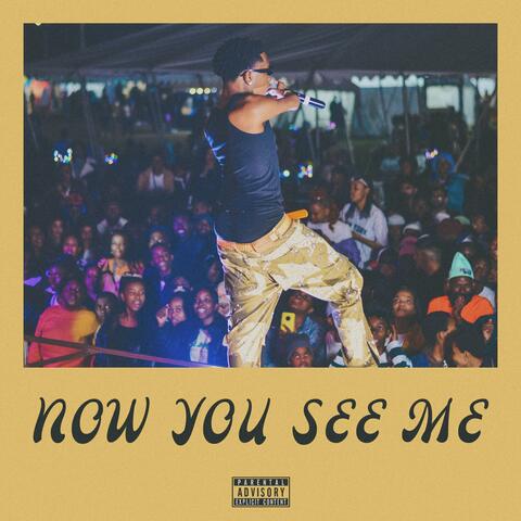Now You See Me