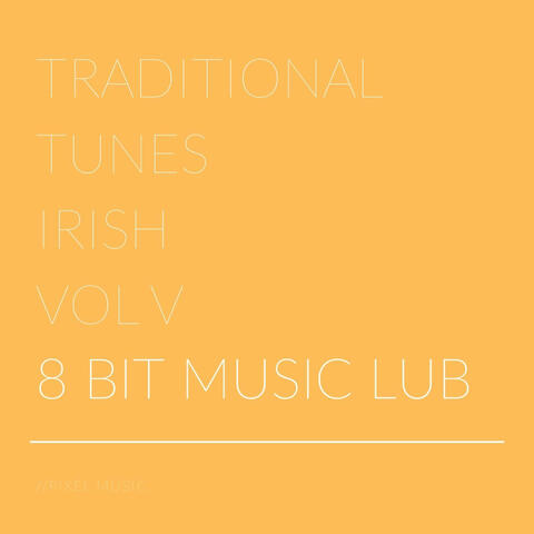 Traditional Tunes Irish, Vol. V