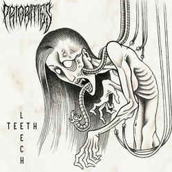 Teeth