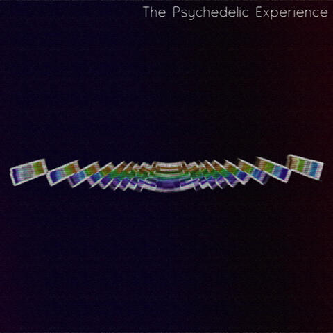 The Psychedelic Experience