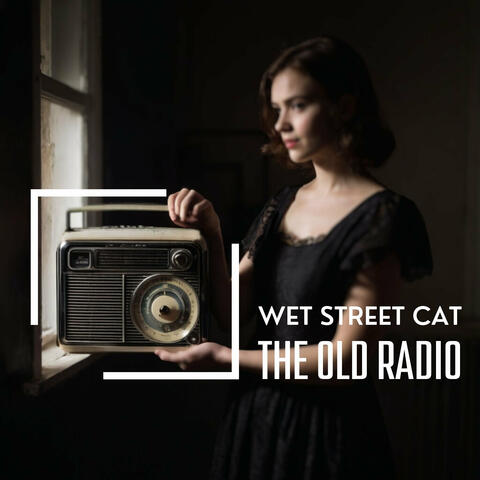 Wet Street Cat