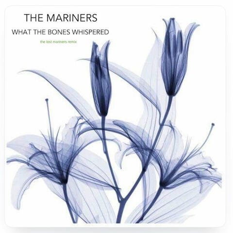 What the Bones Whispered (the lost mariners Remix)