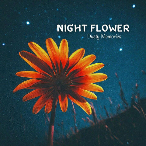 Night Flower