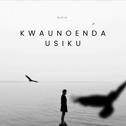 Kwaunoenda Usiku