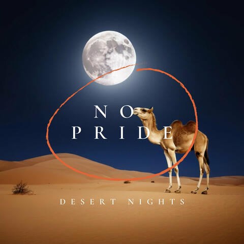 Desert Nights