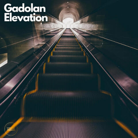 Elevation