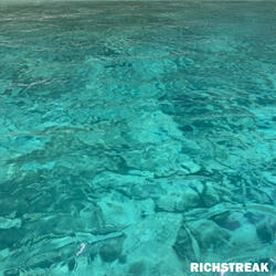 Where Have You Been in My Life?