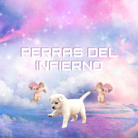 Historia Nueva