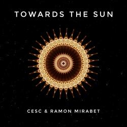 Towards the Sun