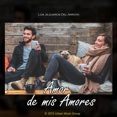 Amor de Mis Amores