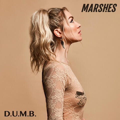 The Marshes