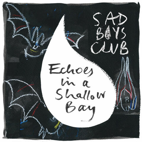 Echoes In A Shallow Bay