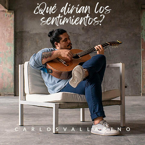 ¿Qué dirían los sentimientos?