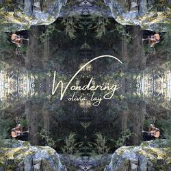Wondering