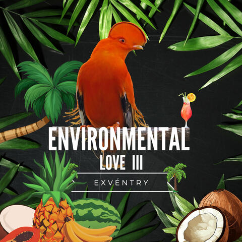Environmental Love III