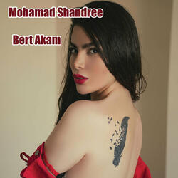 Bert Akam