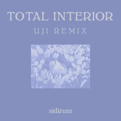 SidiRum