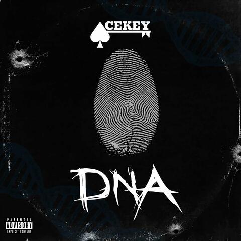 D.N.A.