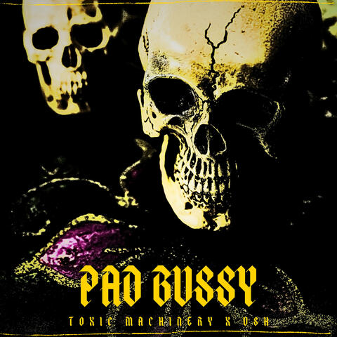 Pad Bussy