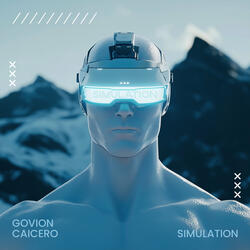 Simulation