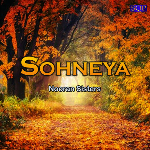 Sohneya