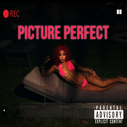 Picture Perfect