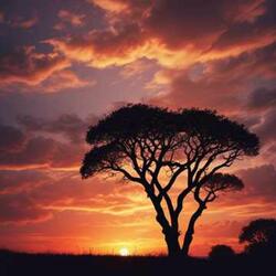 Memories in the Sunset